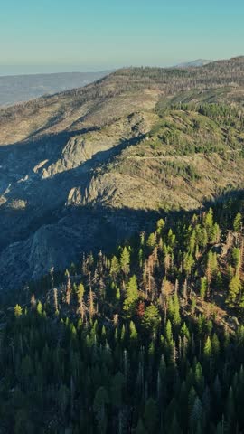 This aerial perspective reveals the expansive mountainous landscape of California, highlighting dense forests and rugged terrain under a clear sky during daytime.