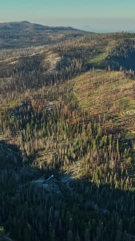 This aerial perspective highlights the contrast between rejuvenating vegetation and areas affected by recent wildfires in California