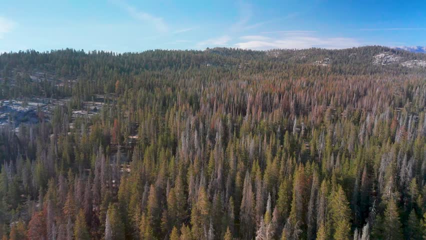 Sequoia National Park In Sierra Nevada Mountains, California - Drone Shot