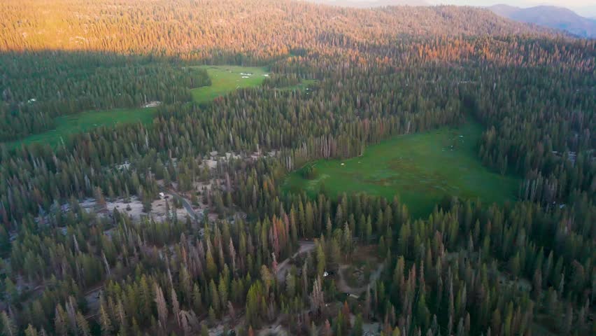 Redwood Mountain Forests In Sequoia National Park In California, United States. Aerial Drone Shot