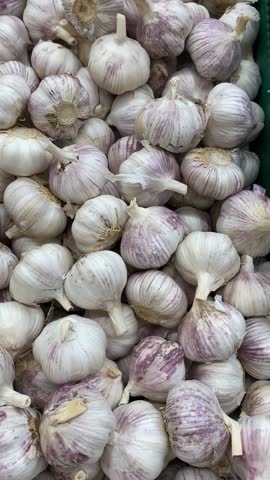 Garlic bulbs piled together with purple streaks in a vertical format background video