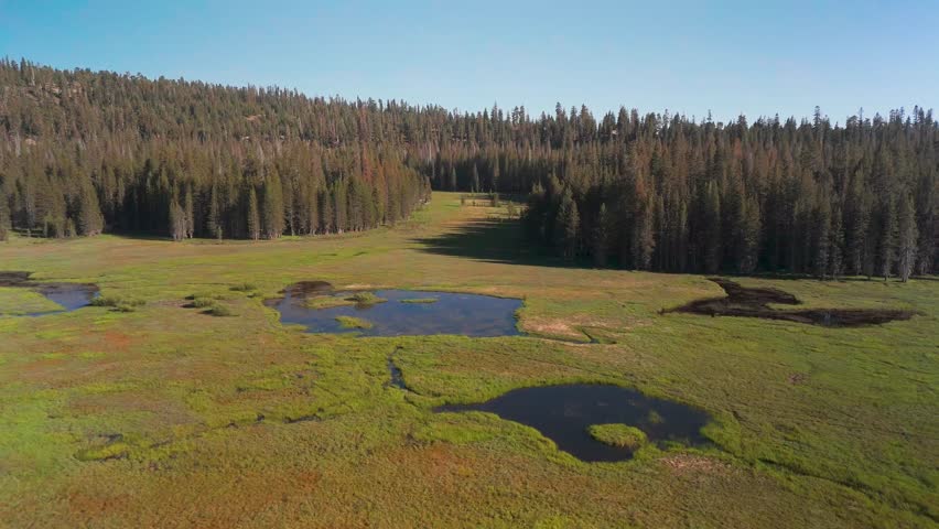 Dense Forest And Fields In Sequoia National Park, California - Drone Shot