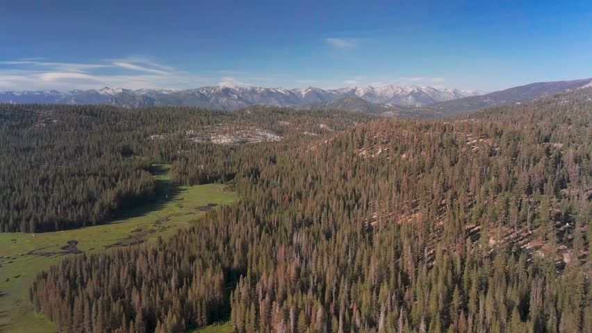 Sequoia National Park At Daytime In California, USA - Drone Shot