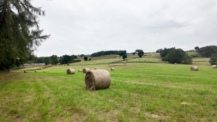 Idyllic view of a field filled with round hay bales in a rural setting.