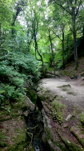 Lush greenery and a tranquil stream create a captivating scene in Groudle Glen, Isle of Man, inviting exploration along its winding path. Vertical Video, Pan Right Shot