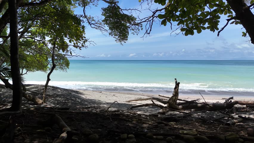 A drone footage of a serene shoreline with clear blue sea, sandy beach, dense foliage, and scattered driftwood in Cabo Blanco reserve, Costa Rica