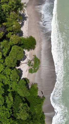 A top down aerial footage of the waves brushing against wild jungle and sandy shores in Reserva Natural Cabo Blanco, Costa Rica