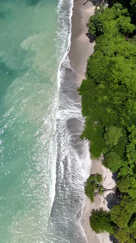 A top down, aerial footage of lush jungle meeting the vibrant blue sea along Cabo Blanco