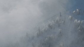 Morning cloud inversion drifts through frosted conifer on the slope of Sheregesh as a gondola cable spans the ravine. Soft light and clean snow create cinematic landscape for tourism and resort use - Powered by Shutterstock - Get 15% off with code: PIKWIZARD15