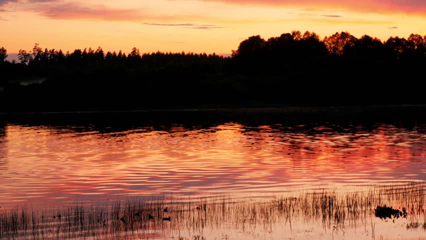 Beautiful sunset over a lake - liquid sun - A Beautiful Orange Sunset Reflecting on a Calm Lake with a Forest Silhouette