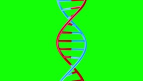 3d animation DNA helix strip rotation on green screen background. Medical science element for chemistry or futuristic biotechnology. Loopable  realistic motion design with chroma key color. - Powered by Shutterstock - Get 15% off with code: PIKWIZARD15