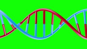 Science 3d animation for medical or futuristic biotechnology.  DNA helix strip rotation on green screen background. Loopable realistic motion element with chroma key color. - Powered by Shutterstock - Get 15% off with code: PIKWIZARD15