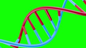 DNA double helix rotation on green screen background. Loopable medical science 3d animation element for chemistry or futuristic biotechnology. Realistic motion design with chroma key color. - Powered by Shutterstock - Get 15% off with code: PIKWIZARD15