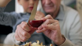 Grandfather and grandson peeling an apple together, hands-on learning, family bonding, close interaction, cutting fruit, educational moment, teaching, caring grandfather, focused child - Powered by Shutterstock - Get 15% off with code: PIKWIZARD15