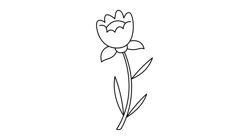 Minimalistic Flower and Four-Leaf Clover Continuous Line Animation – Hand-Drawn 4K Motion Graphics with Alpha Channel