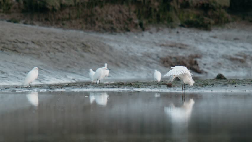 Rye Harbor, New Hampshire, USA. Fall 2025