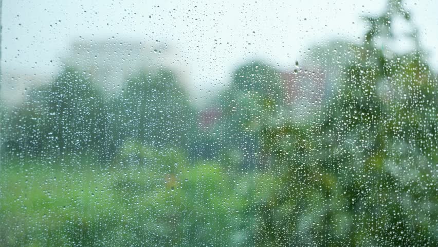 Raindrops slide down a window, blurring the view of trees outside.