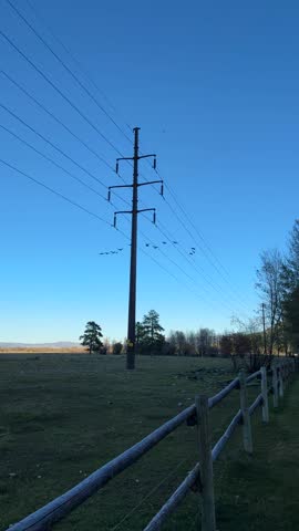 Canadian Geese honking and flying in a v-formation over a rural field and power lines in the Teton Range of the Rocky Mountains at blue hour