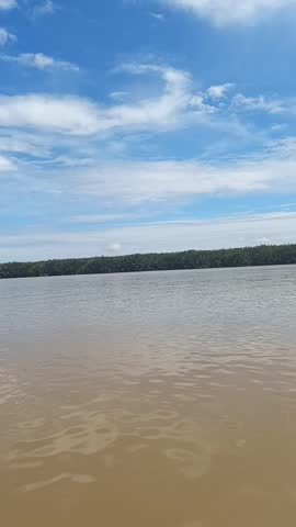 Expansive muddy river stretching to a distant treeline under a vast, cloud-streaked blue sky.Highlights serene natural landscapes.