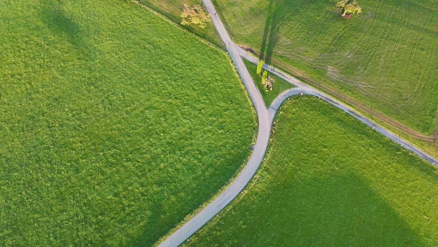 Aerial View Country Roads Intersection Green Agricultural Landscape