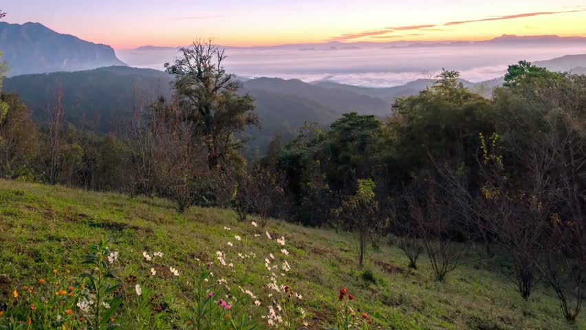 Beautiful sunrise over the mountains with fog in the valley and green meadow
