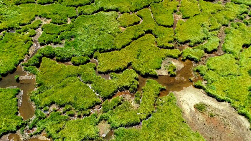 Aerial view of a marshland with green grass and standing water