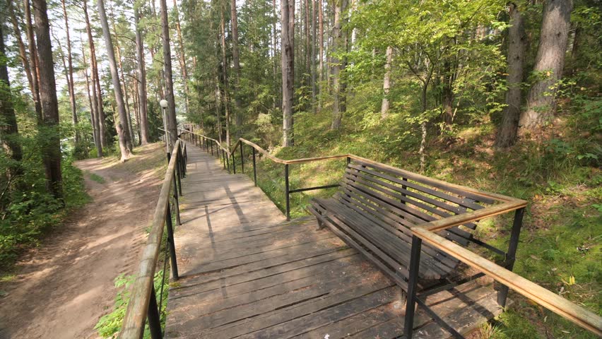 Wooden walkway with bench leading uphill in a pine forest