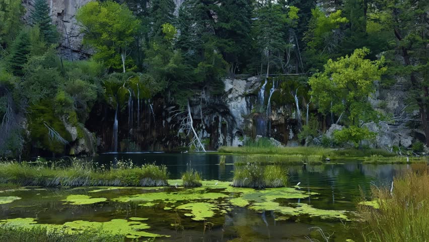 Calm water of Hanging Lake with surrounding trees, soft reflection and shaded areas, static establish