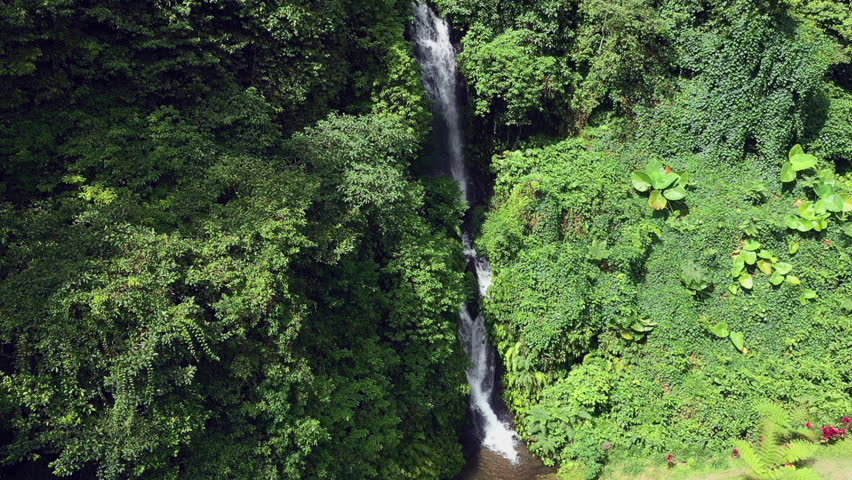 Lush bushy exotic Banyumala Waterfalls Indonesia drone shot