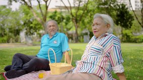 Senior asian man and woman couple of best friend enjoy a delightful picnic under the trees, sipping orange juice and sharing laughter in a park, creating lasting memories together, talk and relax  - Powered by Shutterstock - Get 15% off with code: PIKWIZARD15