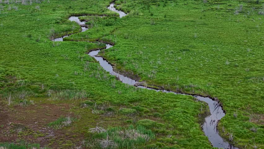Aerial drone view of a winding stream flowing through lush green wetlands in Michigan’s Upper Peninsula.
