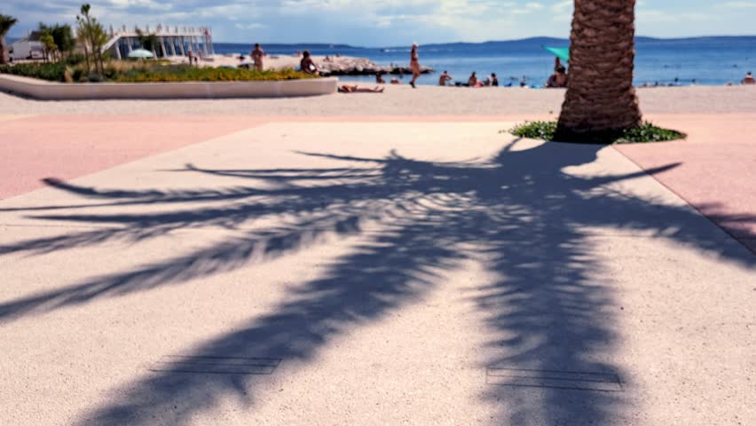 The shadow of a palm tree sways on a promenade with a blurry beach and sea in the background. Static shot with shallow depth of field.