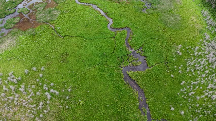 Aerial topdown view of small creek wetland area leading to Lake Huron