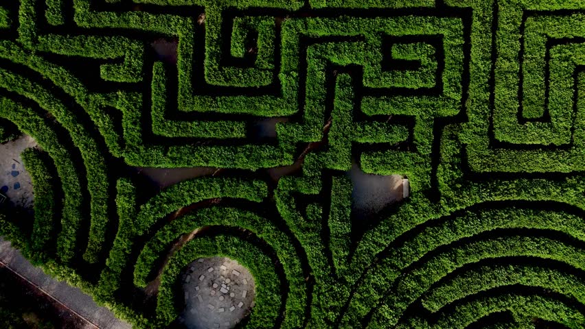 An Aerial view of a dense green hedge maze with winding pathways forming a labyrinth