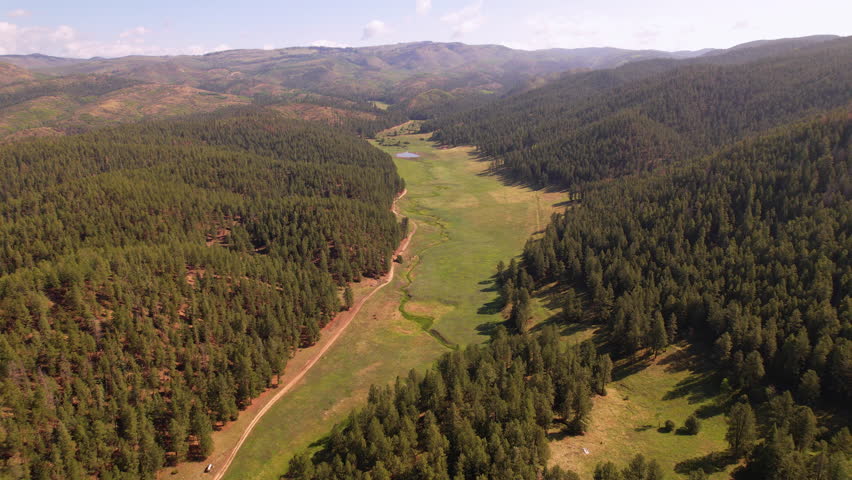 Pecos Wilderness Santa Fe National Forest spruce evergreen tree aerial drone United States woodland
