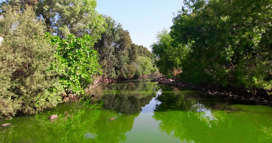 Beautiful Nature Landscape. River and Forest