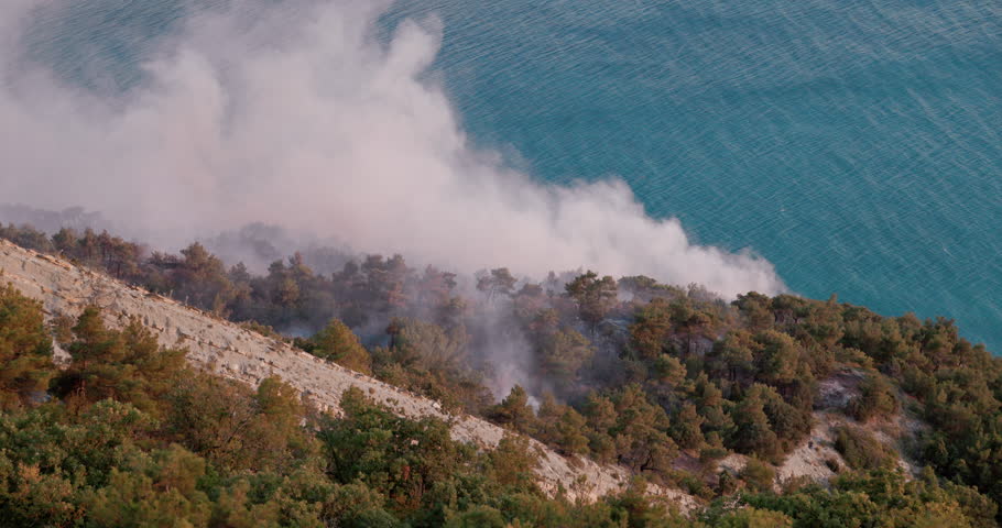 Wild fire smoke rising from forest near sea coastline, natural disaster affecting environment and landscape