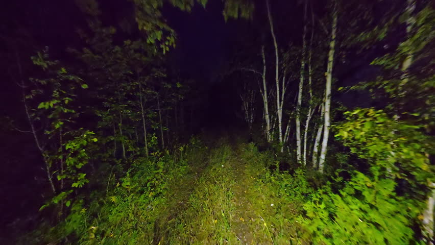 POV walking in dense woods at night in fear. Running from in the dark forest woodland trail. Escape in scary dark mysterious forest or haunted forest. Halloween horror background.