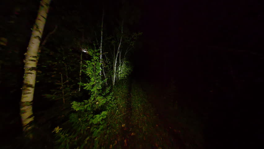 POV walking in dense woods at night in fear. Running from in the dark forest woodland trail. Escape in scary dark mysterious forest or haunted forest. Halloween horror background.