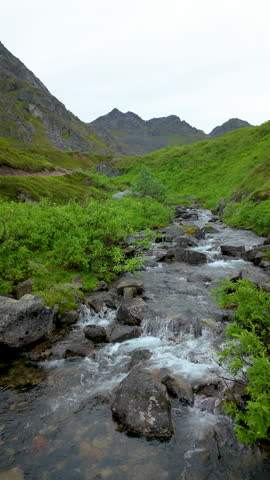 Kenai Peninsula landscape in Alaska