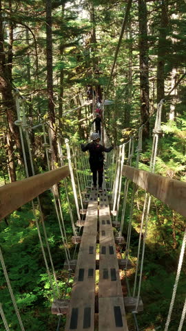 Suspension bridge in Alaska during summer