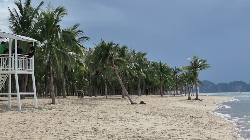 A peaceful panoramic view of Ha Long beach, Vietnam, featuring coconut groves, golden sand, calm sea, and distant limestone islands under dramatic skies.