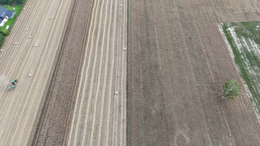 Pułtusk, Poland – August 7, 2025: Aerial view of harvested farmland with rows of straw and scattered bales. Rural Polish countryside after summer grain harvest.
