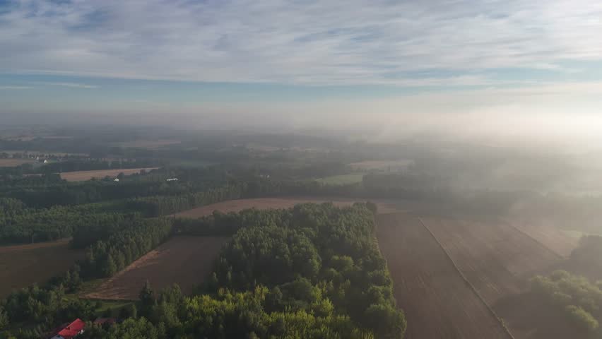 Panoramic drone view of farmland and forest with straw bales on harvested field. Morning mist and blue sky highlight peaceful rural scenery in early sunlight.
