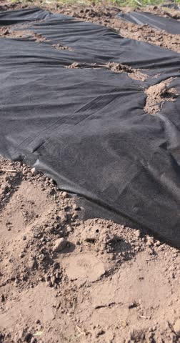 field is covered with black dense cloth to slow down or kill weeds, black dense mulch to control weeds