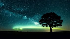 Beautiful night scape with a glowing Milky Way galaxy above a solitary tree - Powered by Shutterstock - Get 15% off with code: PIKWIZARD15