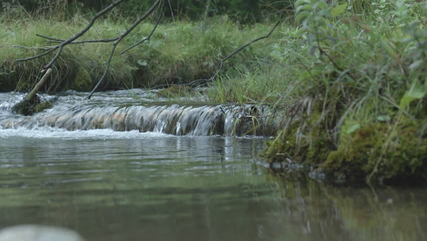 Close-Up Low Angle View of Small Forest Stream Cascade