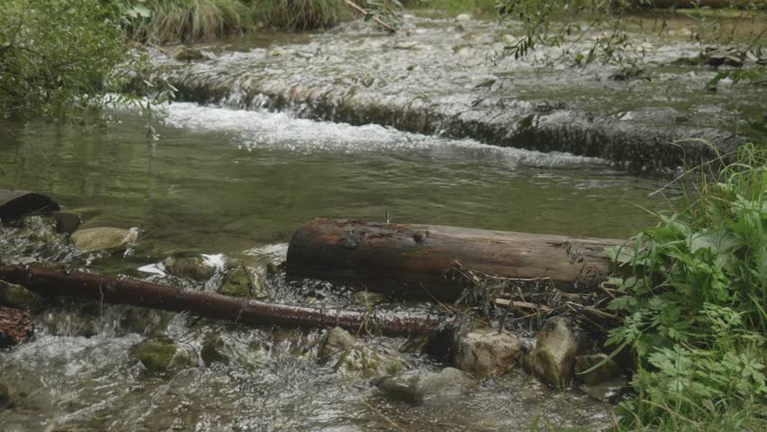 Forest Stream with Two Cascades Viewed from Diagonal Angle