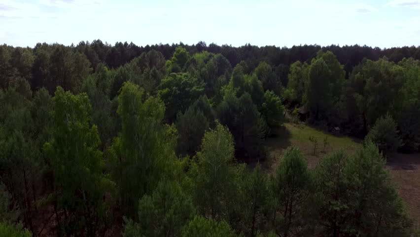 Chernobyl Exclusion Zone Forest Landscape (Pinus sylvestris, Betula sp.): Large-scale ecological succession and rewilding as a scientific documentary concept