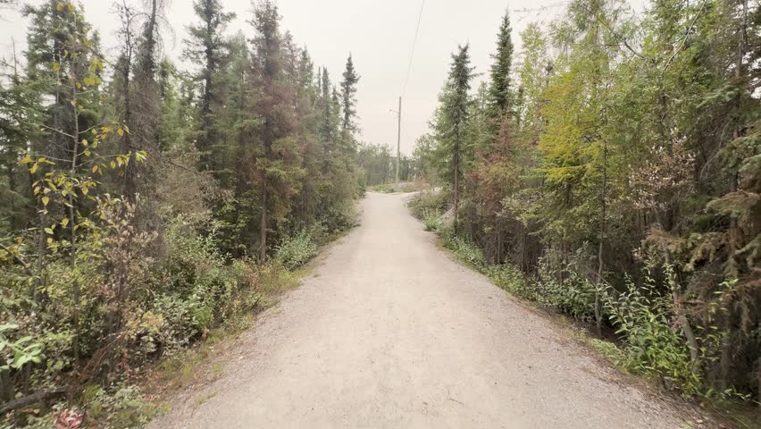 Forest next to Lake Niven, Yellowknife, Canada